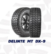 DELINTE MT DX9