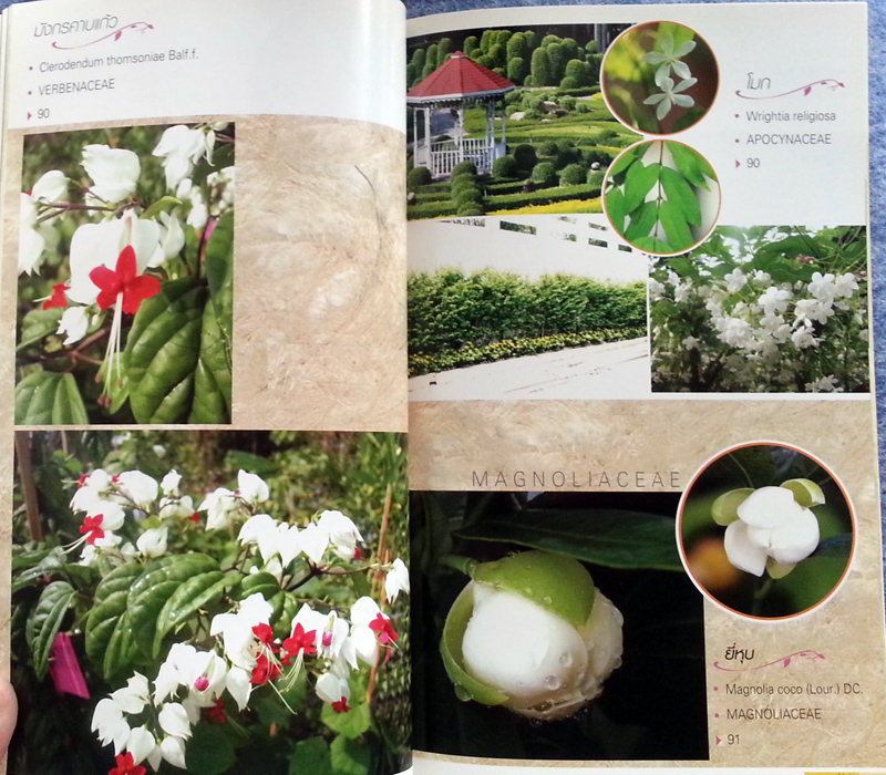 หนังสือ ร้อยพรรณพฤกษา พรรณไม้ดอก ไม้ประดับ 2 โดยเศรษฐมันตร์ กาญจนกุล