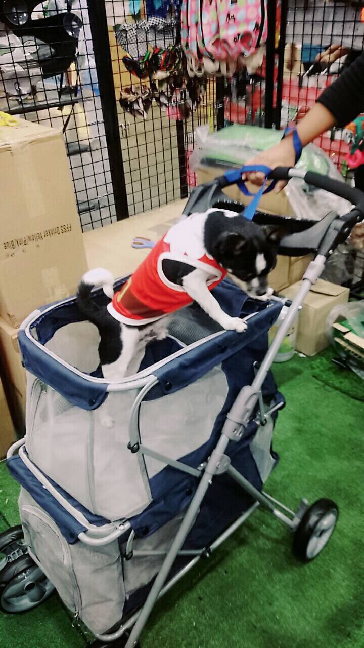 รถเข็นสัตว์เลี้ยง แบบสองชั้น ลดราคา