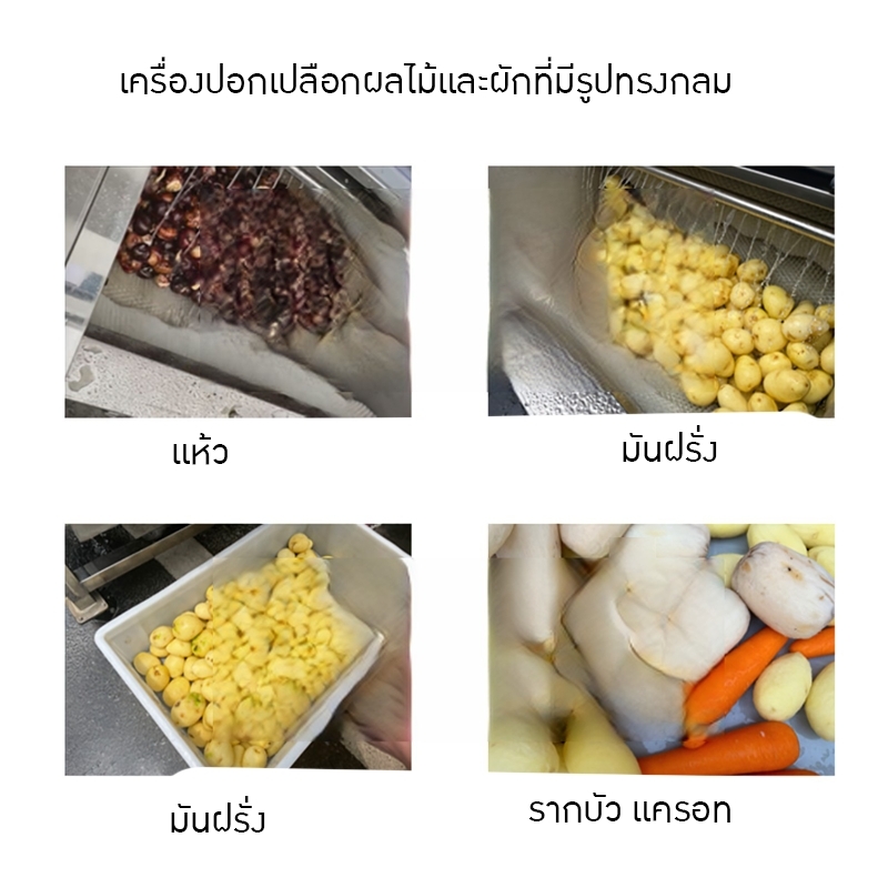 18561 เครื่องปอกเปลือกผลไม้และผักที่มีรูปทรงกลม ZH-QP800