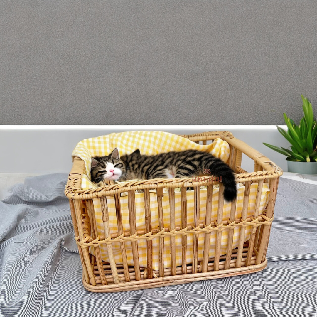 ตะกร้าหวาย ตะกร้าใส่ของ ตะกร้ามินิมอล ตะกร้าสัตว์เลี้ยง ตะกร้าท้ายรถ ตะกร้าจักรยาน 🧺