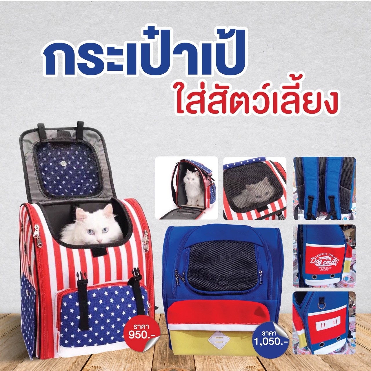 กระเป๋าเป้ ใส่สัตว์เลี้ยง