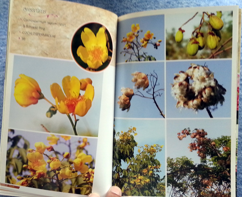 หนังสือ ร้อยพรรณพฤกษา พรรณไม้ดอก ไม้ประดับ 2 โดยเศรษฐมันตร์ กาญจนกุล