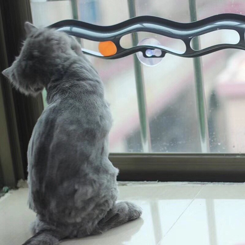 รางบอลติดกระจก