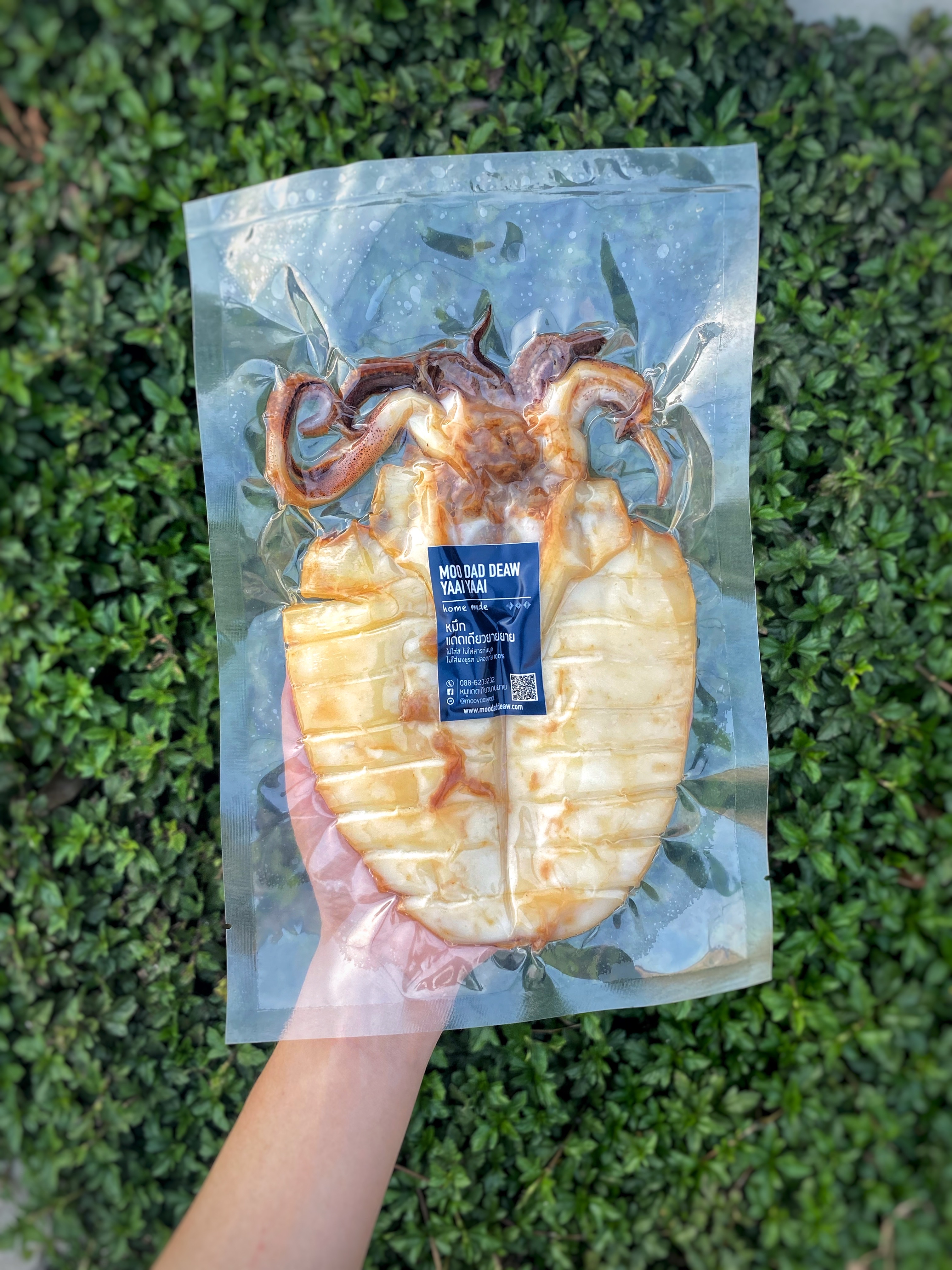 หมึกแดดเดียว สดปลอดสาร ทอดเสร็จ พร้อมส่ง ราคาถูก