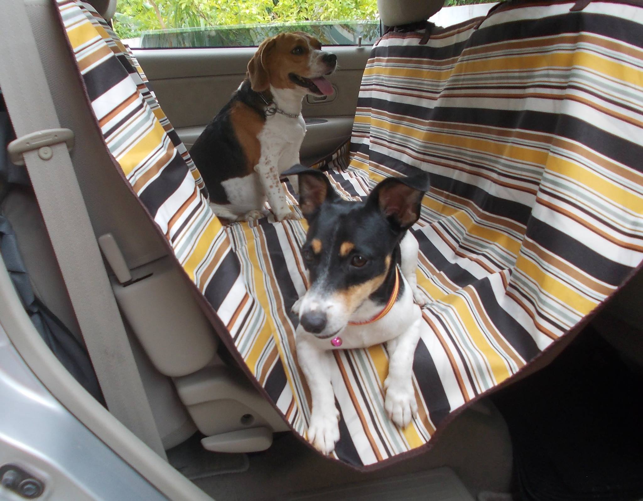 แผ่นรองกันเปื้อนในรถ