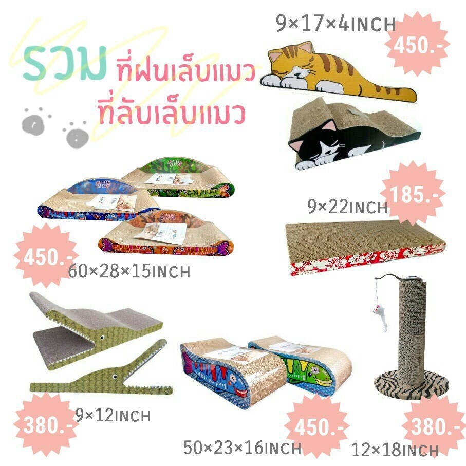 รวมที่ฝนเล็บแมว