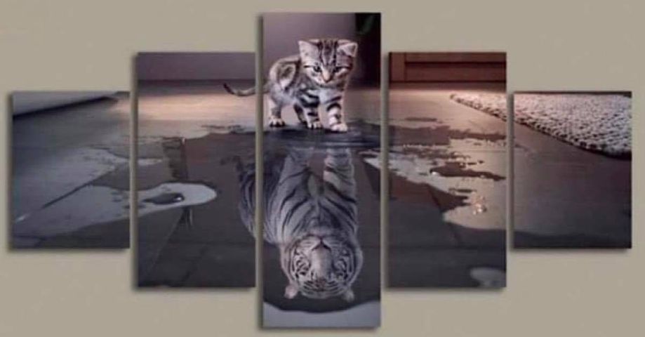 เบญจเฟรม