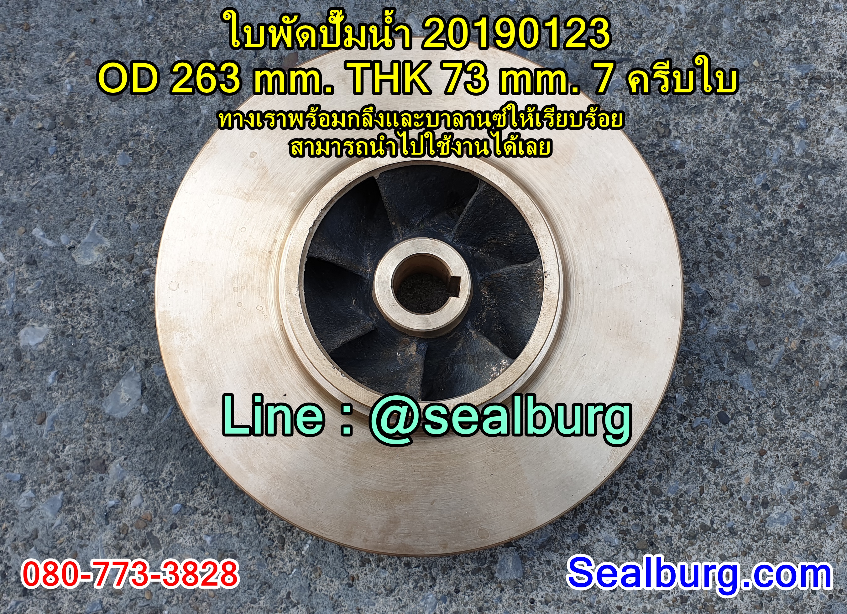ใบพัดปั๊มน้ำ 20190123 OD 263 mm. THK 73 mm.