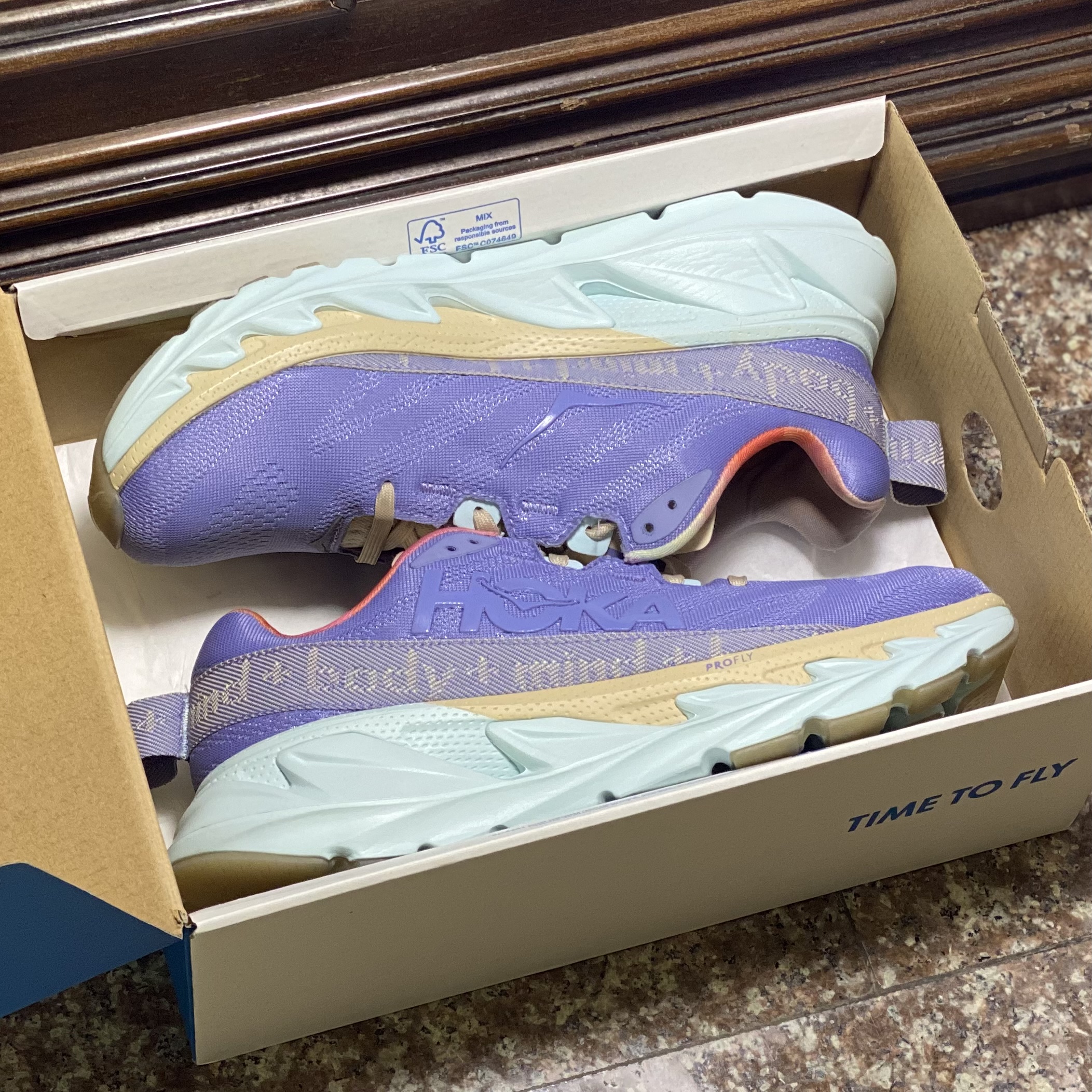 รองเท้า HOKA Elevon 2 ‘Mental Health’ (M9US)