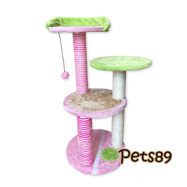 คอนโดแมว โทนสีชมพูเขียว