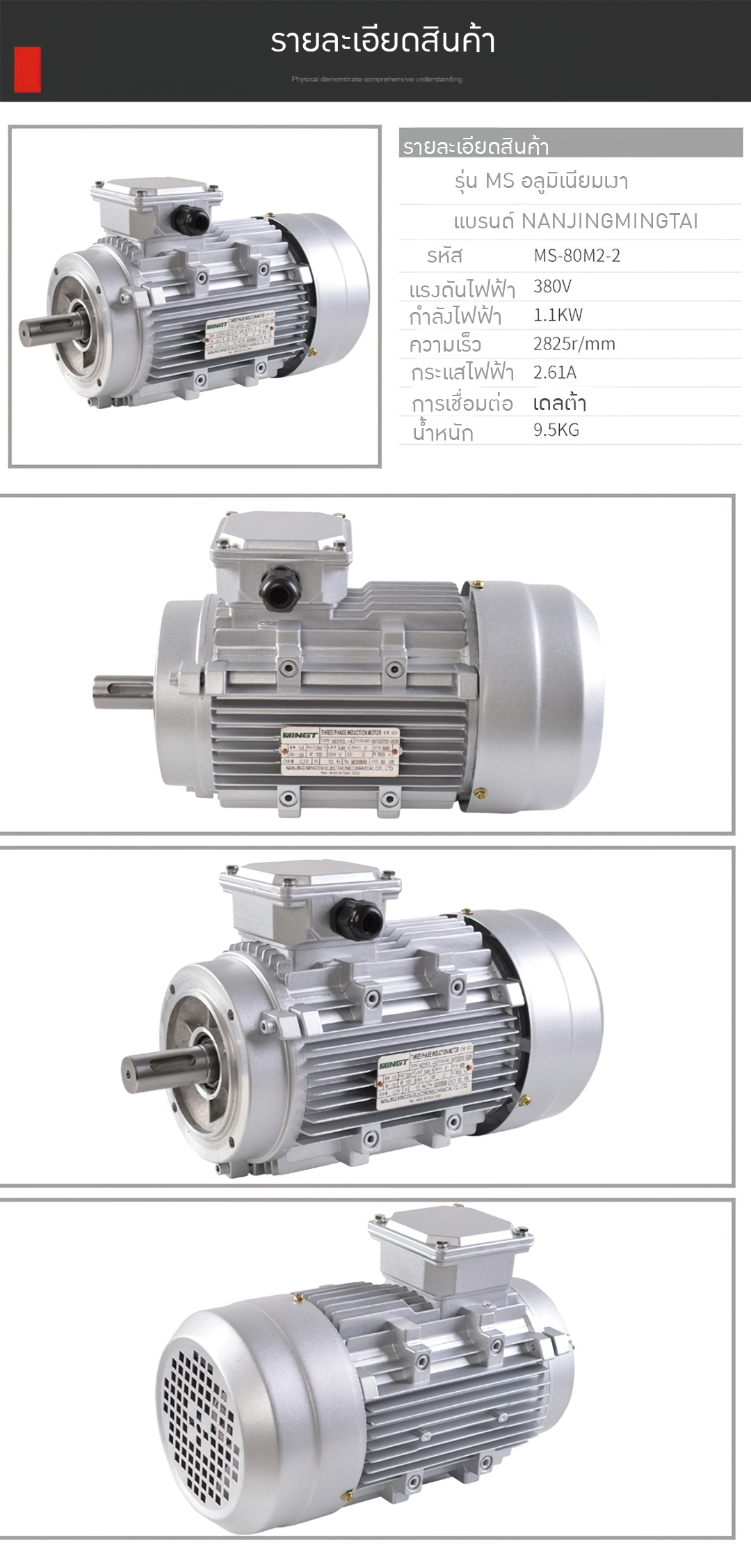 มอเตอร์ มอเตอร์ไฟฟ้า 4 pole/6 pole /8 pole 380V รุ่น MS