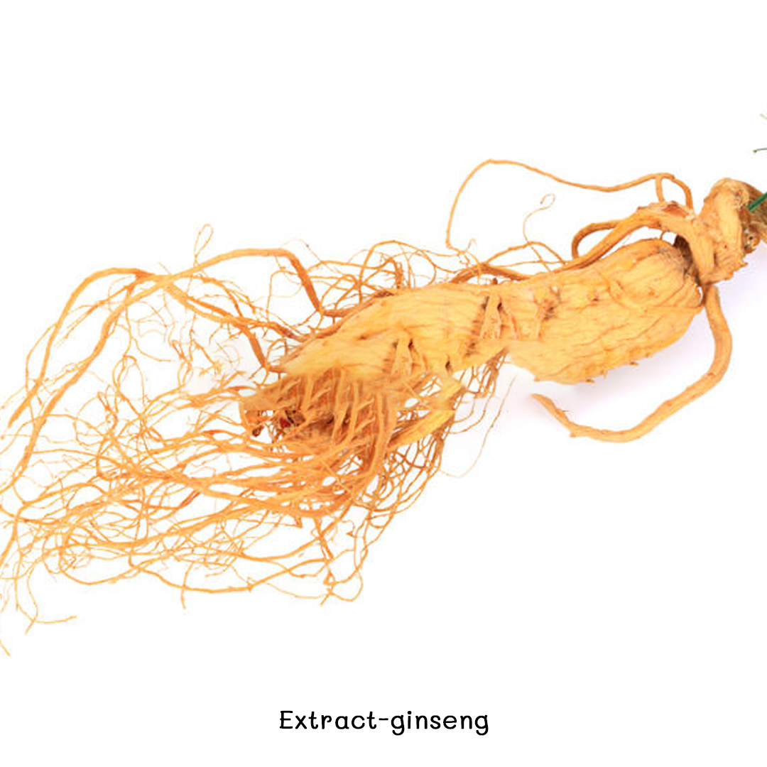 ❤️9382 Extract-ginseng3❤️ สารสกัดโสม