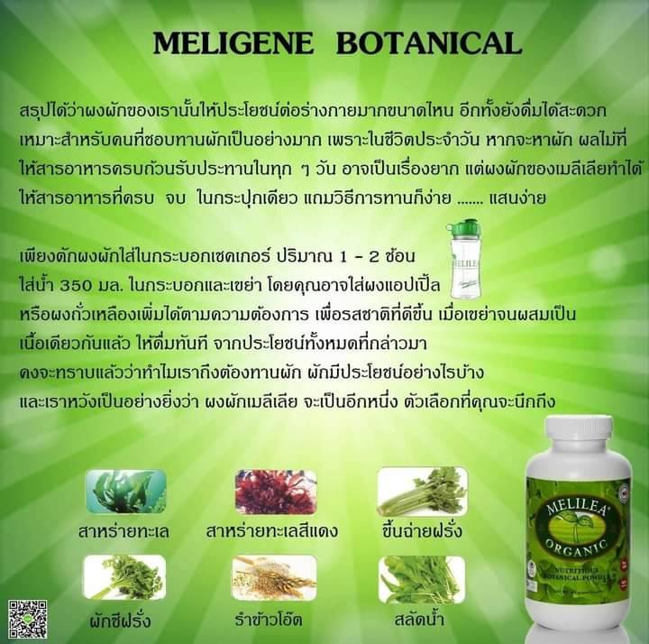 ผงผักรวมออร์แกนิค เมลิเลีย BOTANICAL POWDER เมลิเลีย ออแกนิค Melilea Organic
