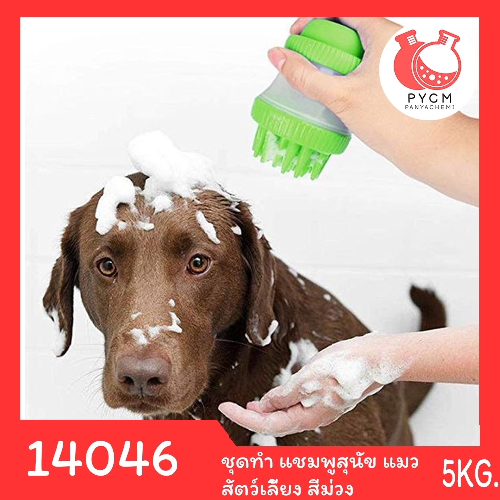 14046 PYCM-160 ชุดทำ แชมพูสุนัข แมว สัตว์เลี้ยง สีม่วง - สามารถผลิตได้ 5kg.
