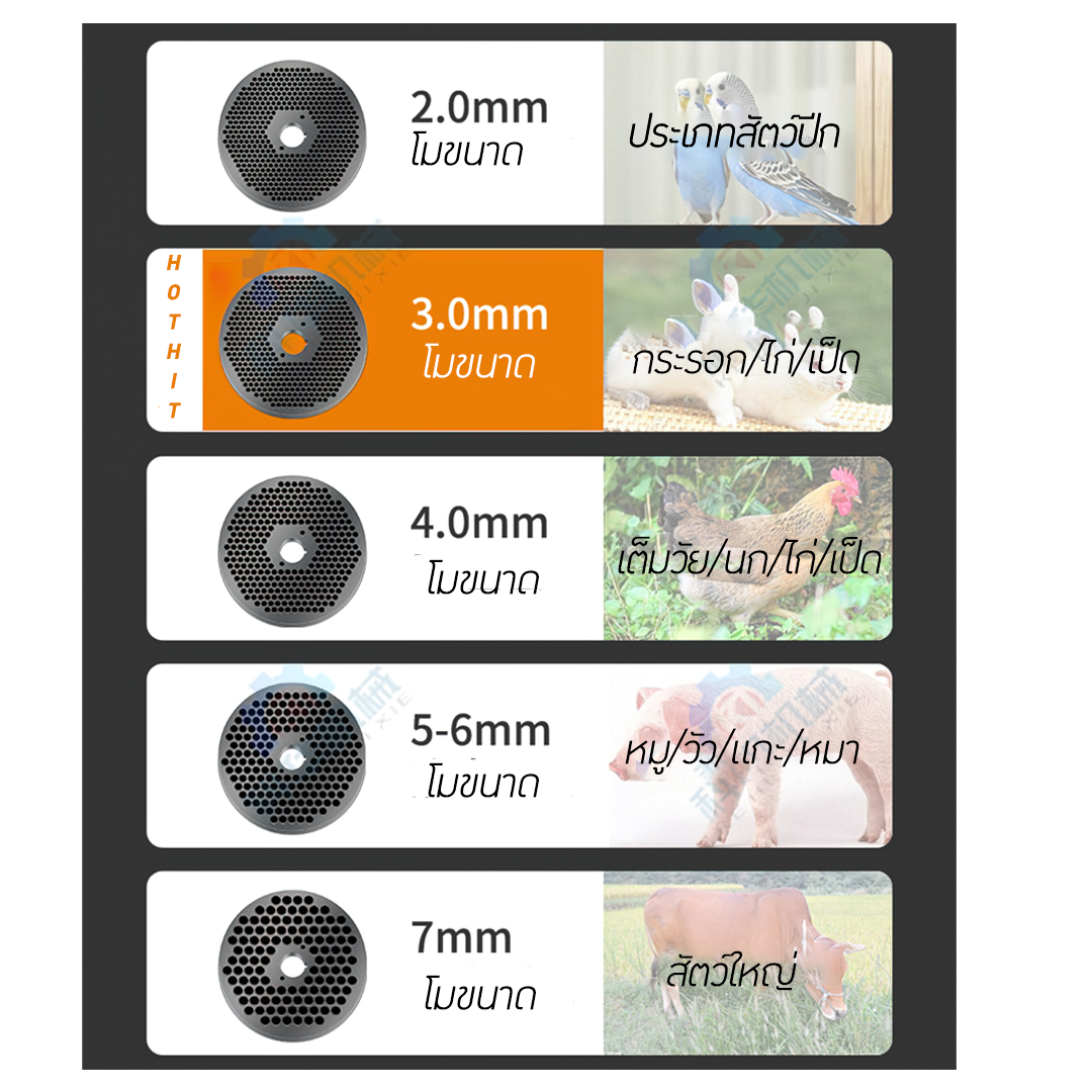 🌈13168 เครื่องอัดเม็ดอาหารสัตว์ อาหารอัดเม็ด แมว ปลา ไก่ นก วัว ใช้งานง่าย รุ่น 125 220v 4kw. animal feed pellet machine