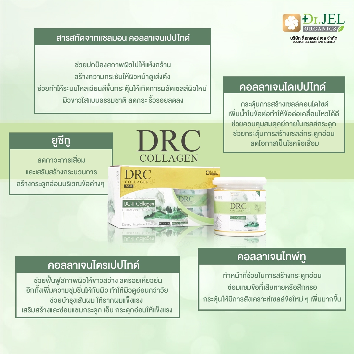 ส่วนประกอบสำคัญ DRC collagen ดีอาร์ซี คอลลาเจน
