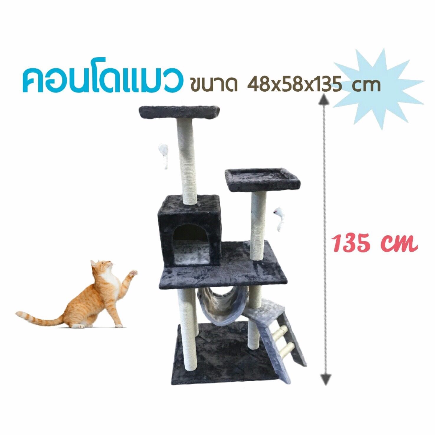 คอนโดแมว สูง 135 cm