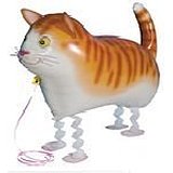 CAT สัตว์เลี้ยงเดินได้