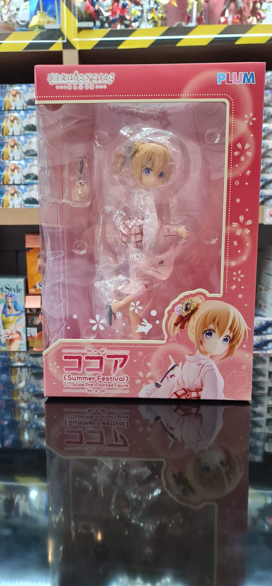 Cocoa (Summer Festival)