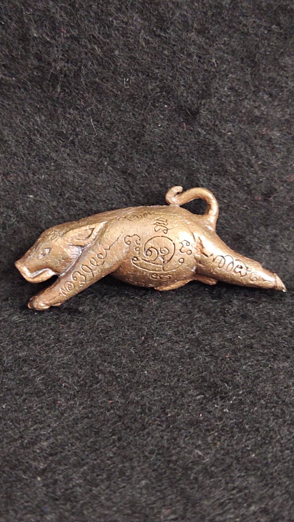 หมูเตโช หลวงปู่ขุ้ย ฐิตธัมโม วัดซับตะเคียน อ.หนองไผ่ จ.เพชรบูรณ์