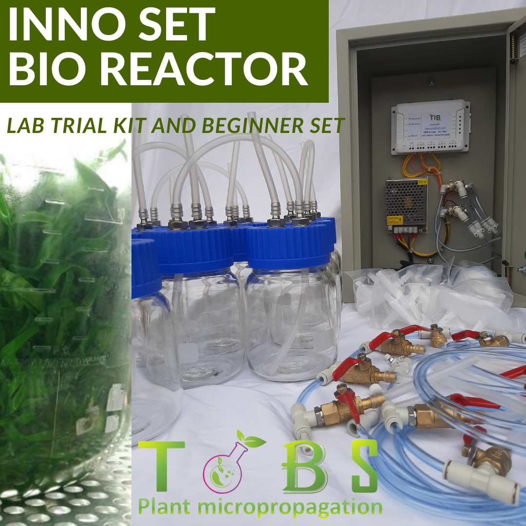 INNO SET BIO Reactor เครื่องเพาะเลี้ยงเนื้อเยื่อ ระบบ TIBS