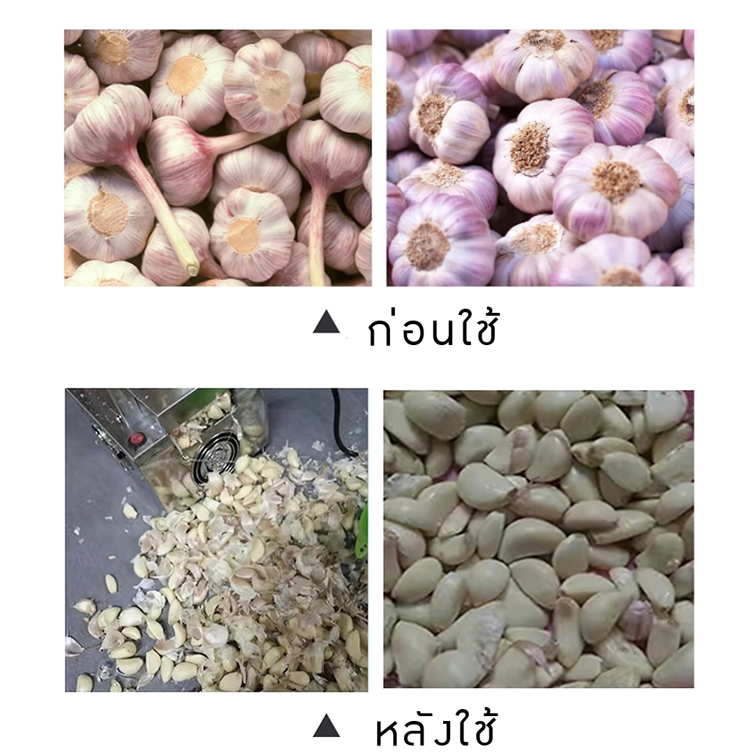 17697 เครื่องปอกเปลือกกระเทียมขนาดเล็ก สแตนเลสอัตโนมัติ XJT