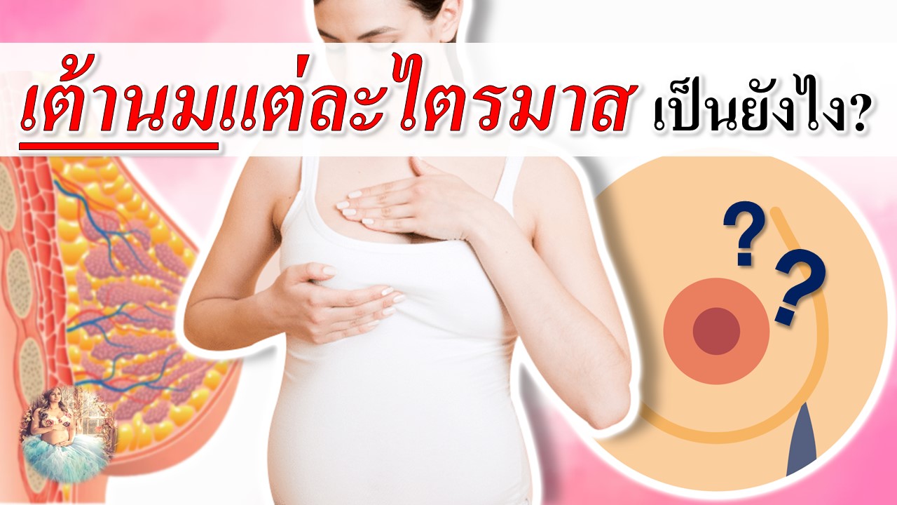 เต้านมคนท้องแต่ละช่วงครรภ์ เป็นยังไง?