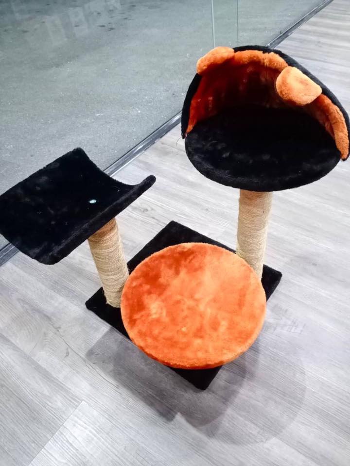 คอนโดน้องแมว size เล็ก