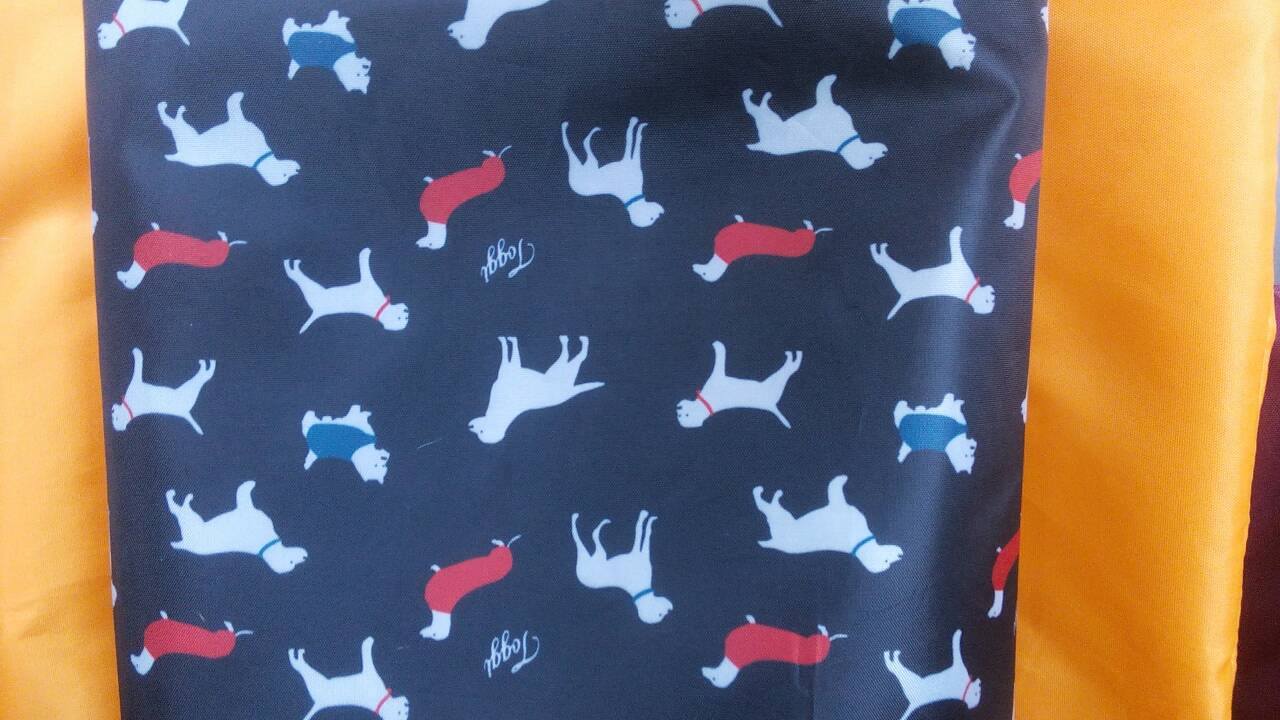 แผ่นรองกันเปื้อนในรถ