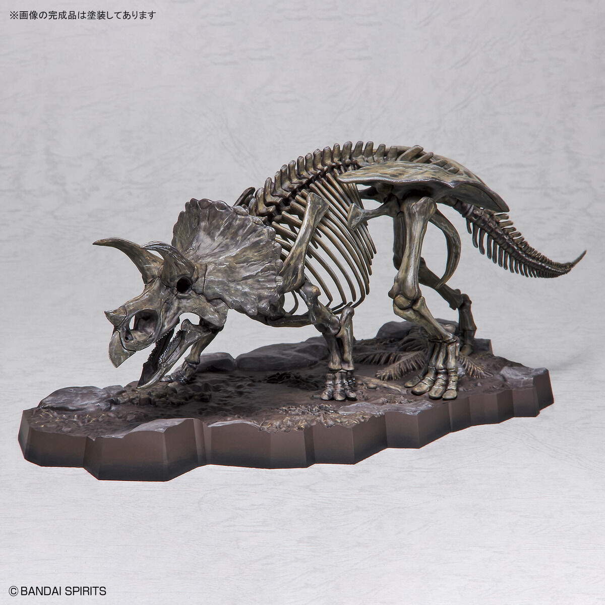 1/32 IMAGINARY SKELETON TRICERATOPS