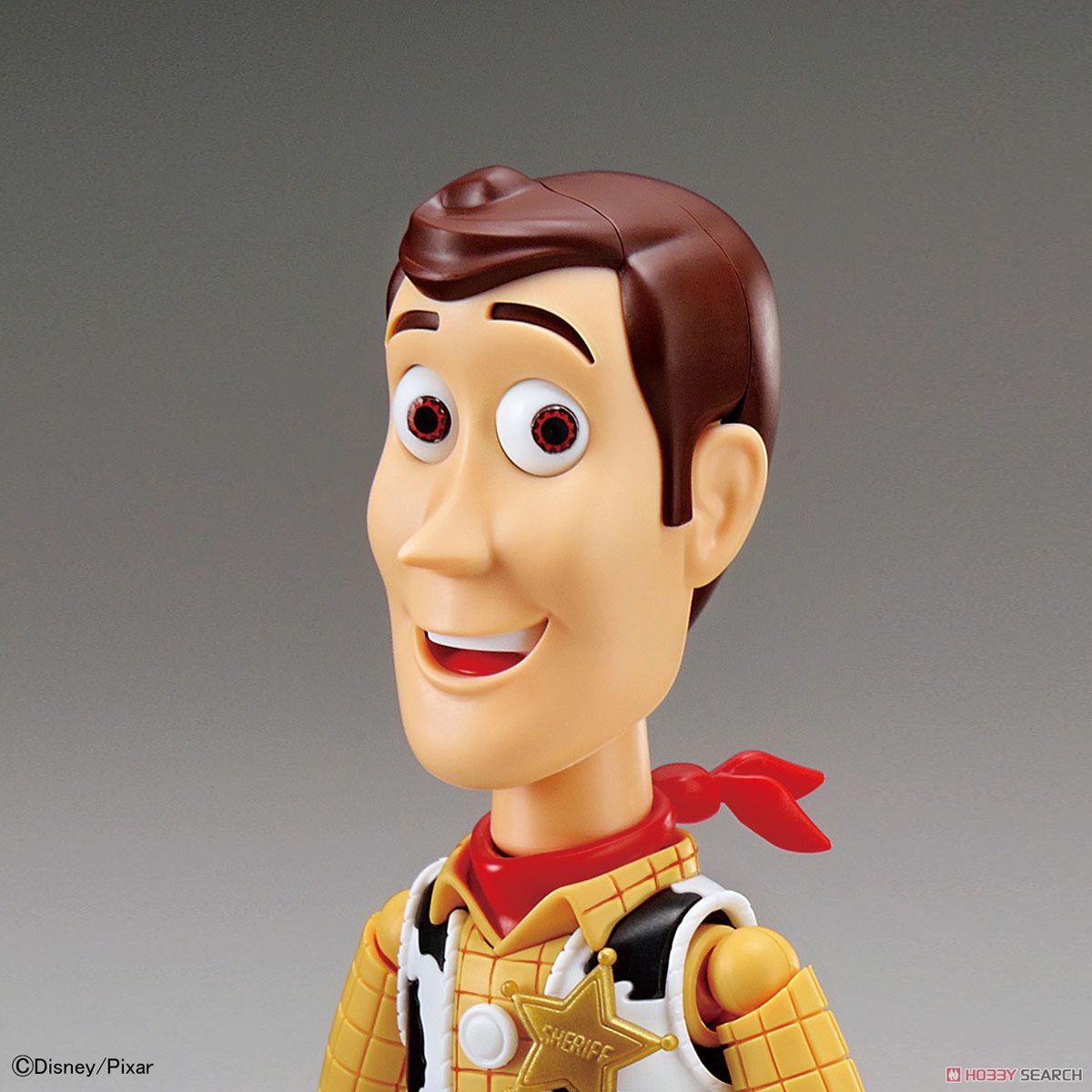 Toy Story 4 Woody (Plastic model)