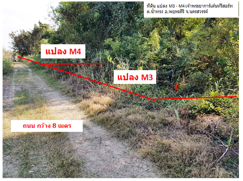 ที่ดินเปล่า มีโฉนด 3 ไร่ 1 งาน 1 ตารางวา ในโครงการเจ้าพระยาการ์เด้นท์รีสอร์ท ต.น้ำทรง อ.พยุหะคีรี จ.นครสวรรค์ ติดถนนซอย กว้าง 8 เมตร