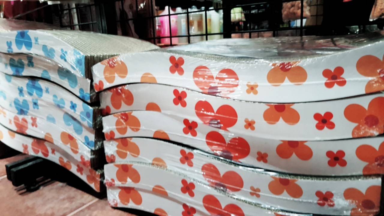 ที่ฝนเล็บแมว ราคาเบา ๆ