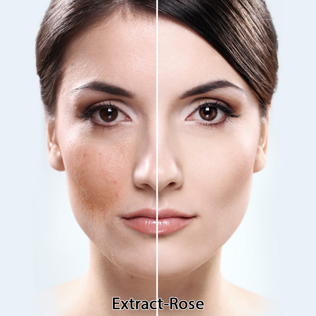 🌈8250 Extract-Rose (สารสกัดดอกกุหลาบ)