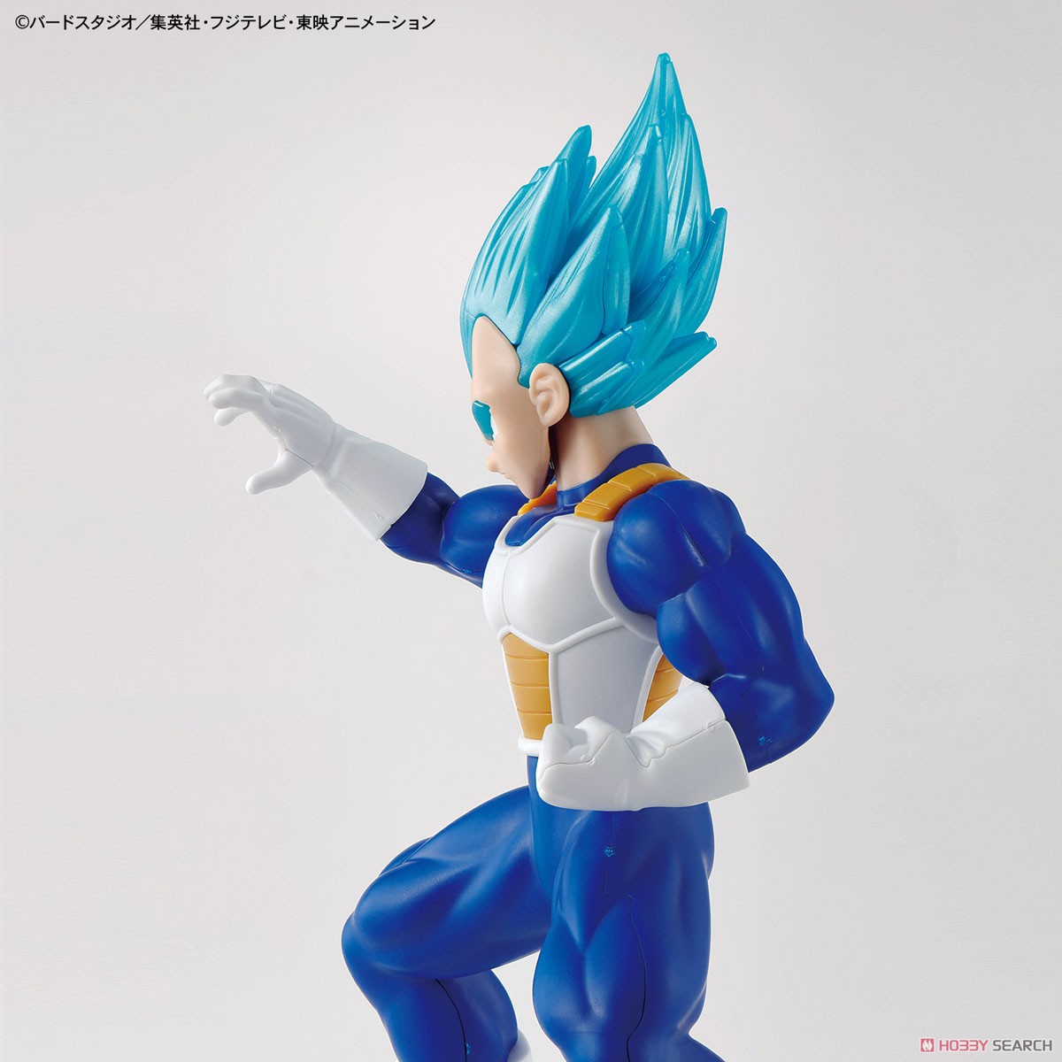Entry Grade Super Saiyan God Super Saiyan Vegeta (Plastic model)