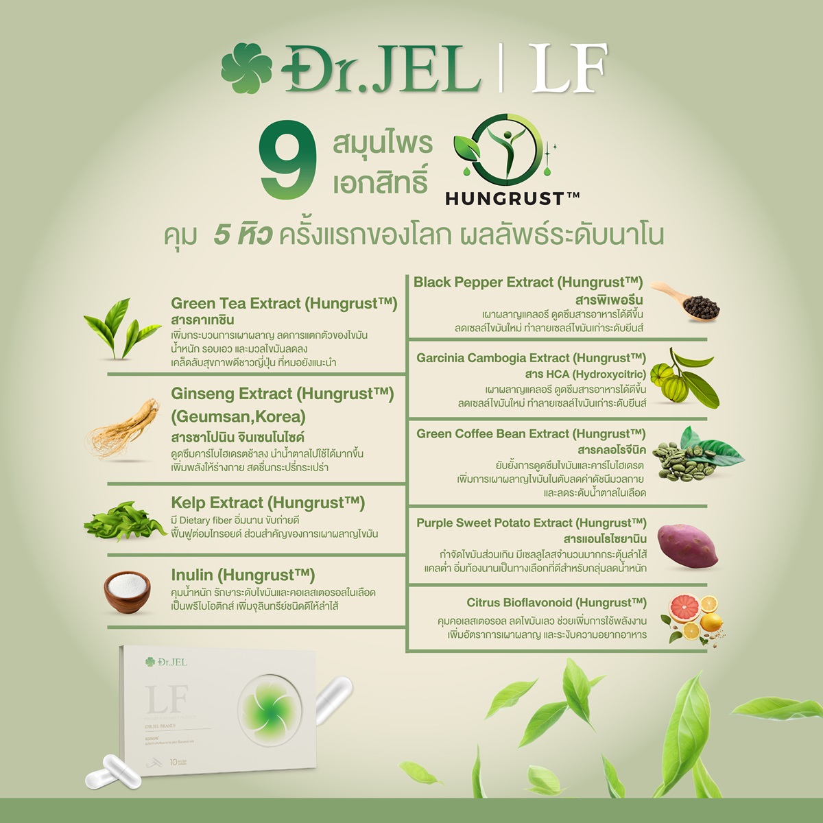 dr.jel lf สารสกัด