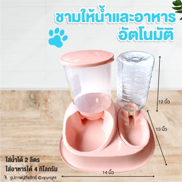 ชามให้น้ำและอาหารอัตโนมัติ