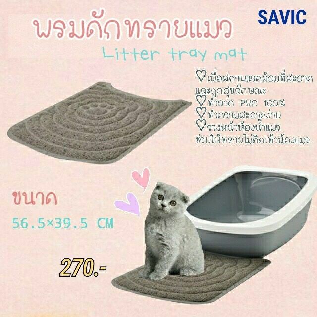 พรมดักทรายแมว PVC