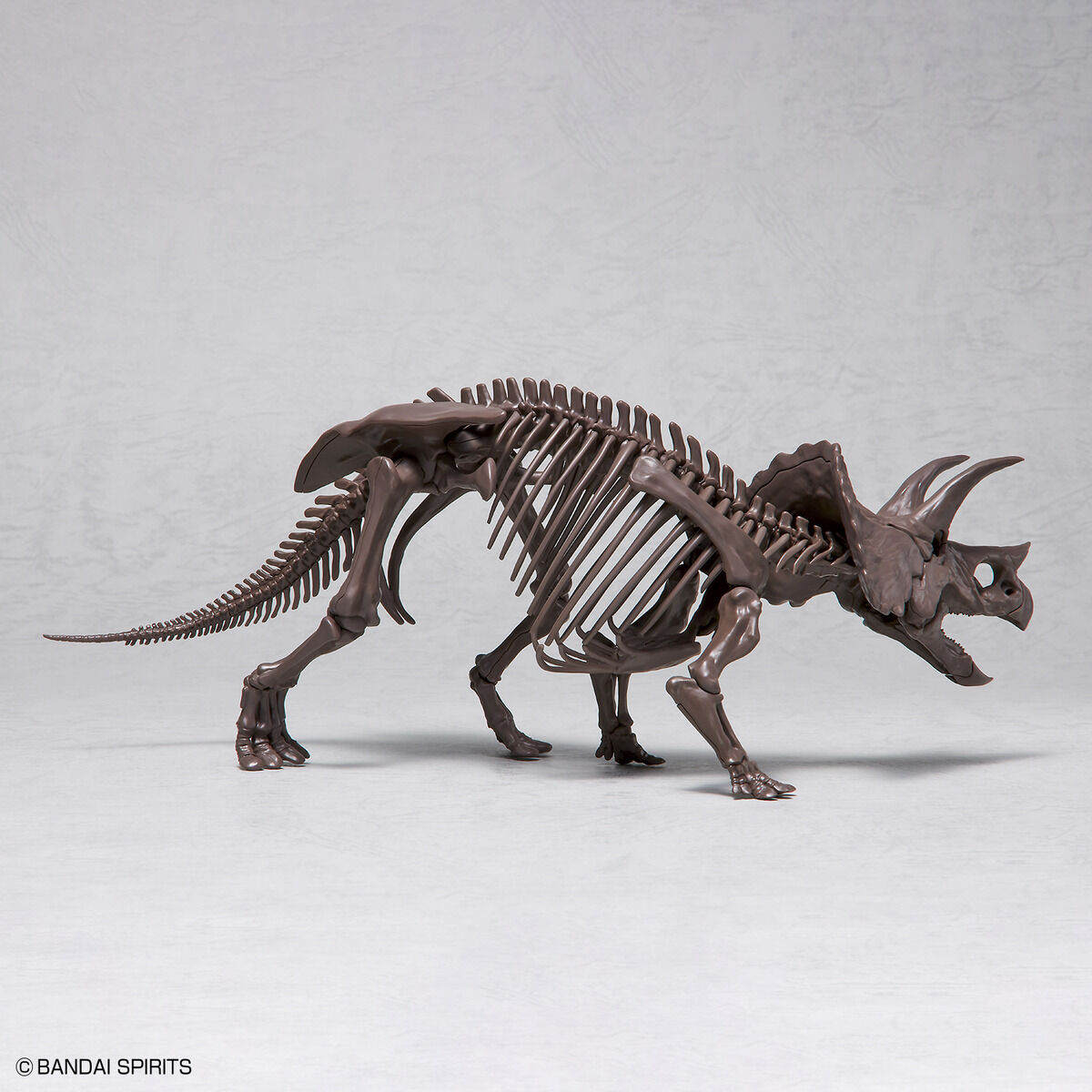 1/32 IMAGINARY SKELETON TRICERATOPS