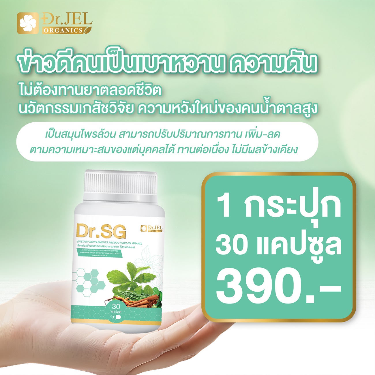 Dr.SG อาหารเสริมสำหรับคนเป็นเบาหวาน