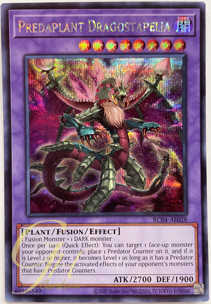 Yugioh [RC04-AE028] Predaplant Dragostapelia (Secret Rare)