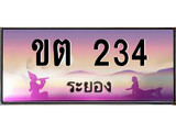 ทะเบียนระยอง ,ระยอง 234 ,ป้ายประมูล, ขต 234 ระยอง,ป้ายประมูลระยอง