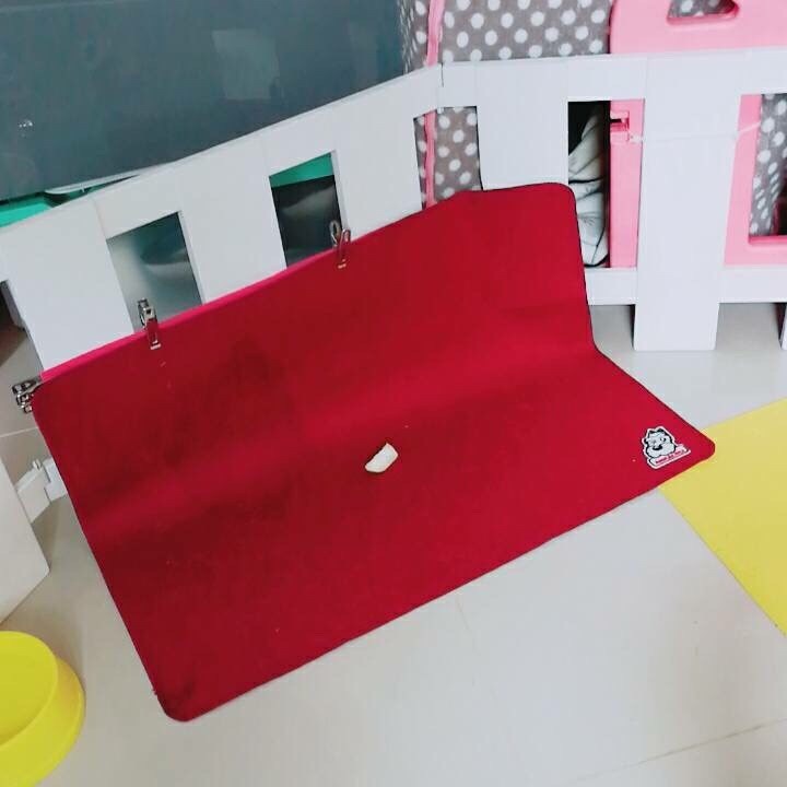 แผ่นรองฉี่น้องหมา แบบซักได้