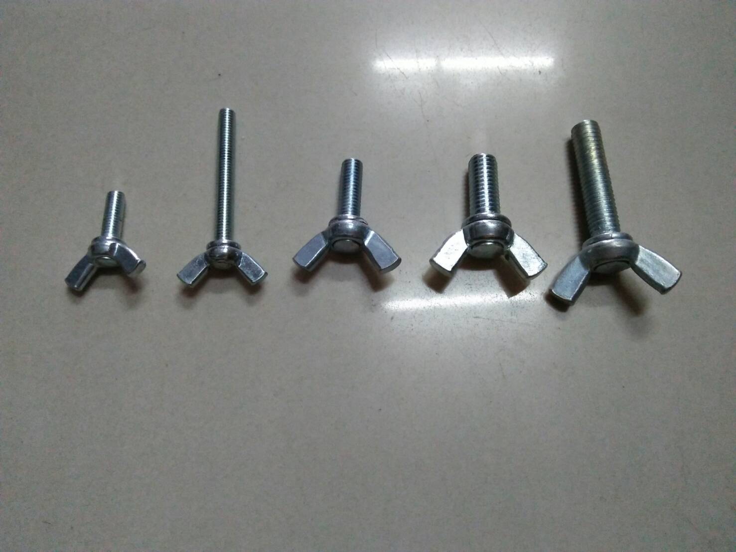 สกรูหางปลาสกรูหางปลา M5x40 mm. (10/ถุง)
