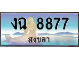 ทะเบียนสงขลา,สงขลา 8877 ,ป้ายประมูล, - งฉ 8877 สงขลา,ป้ายประมูลสงขลา