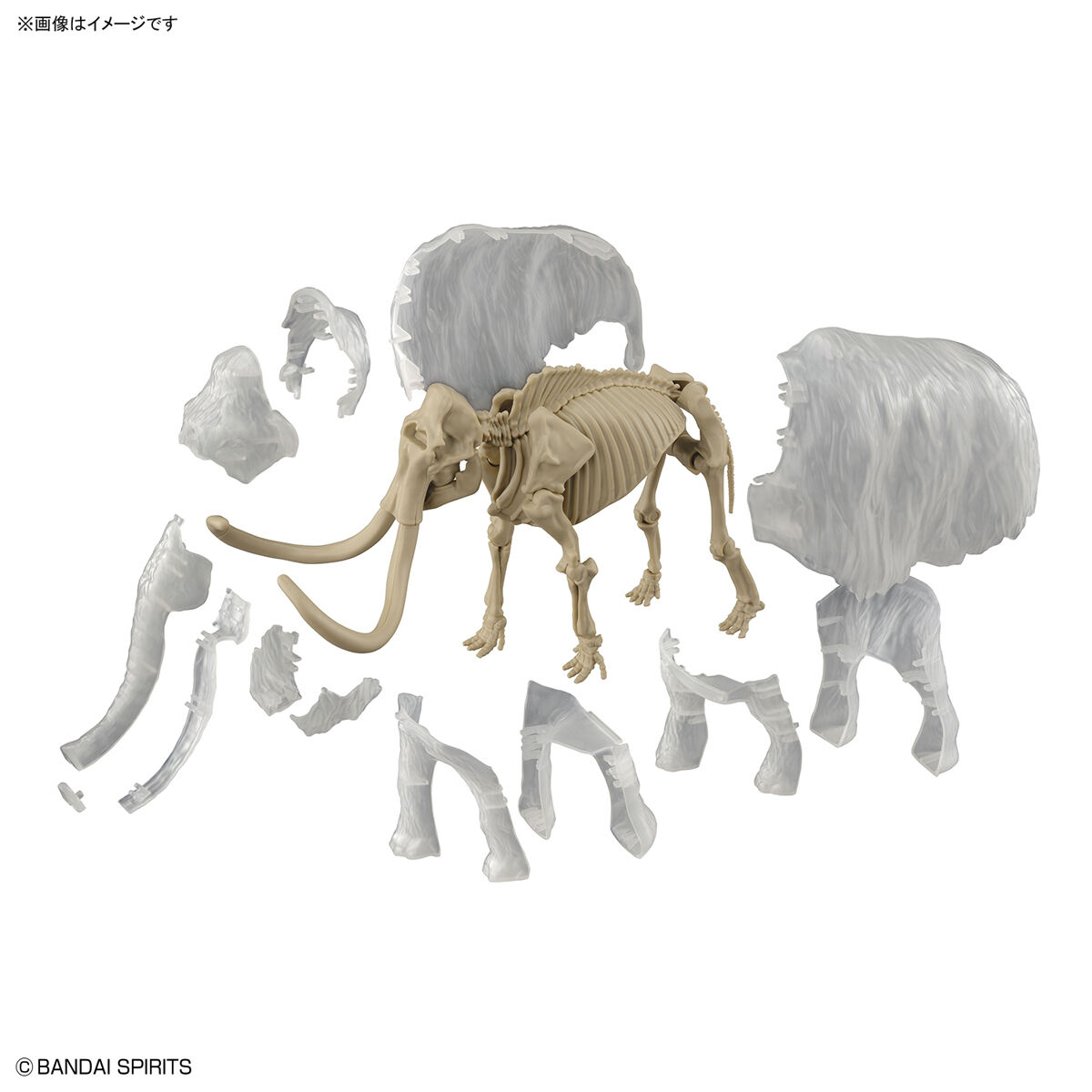 EXPLORING LAB NATURE MAMMOTH