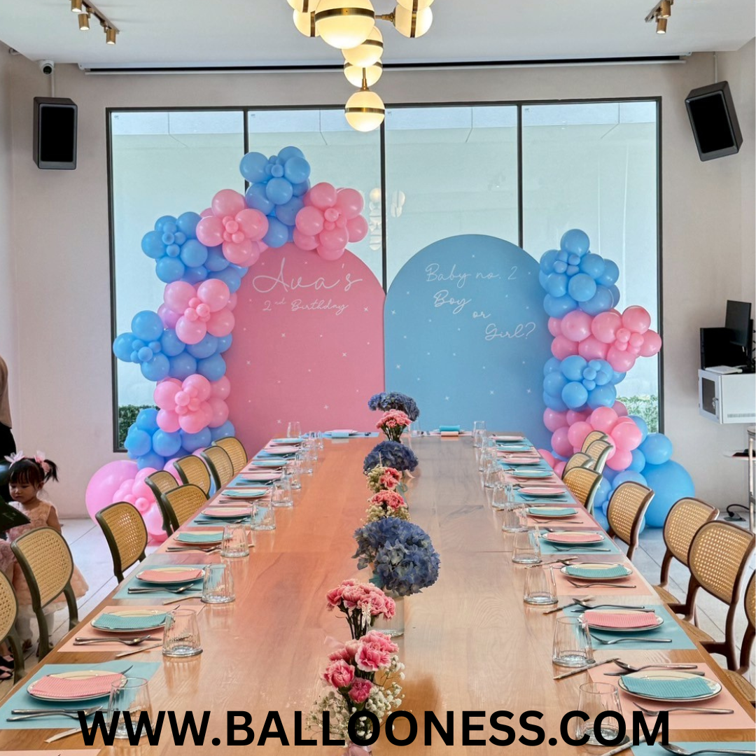 เซทแบลคดรอปทายเพศเด็กแรกเกิด / Gender Reveal Backdrop