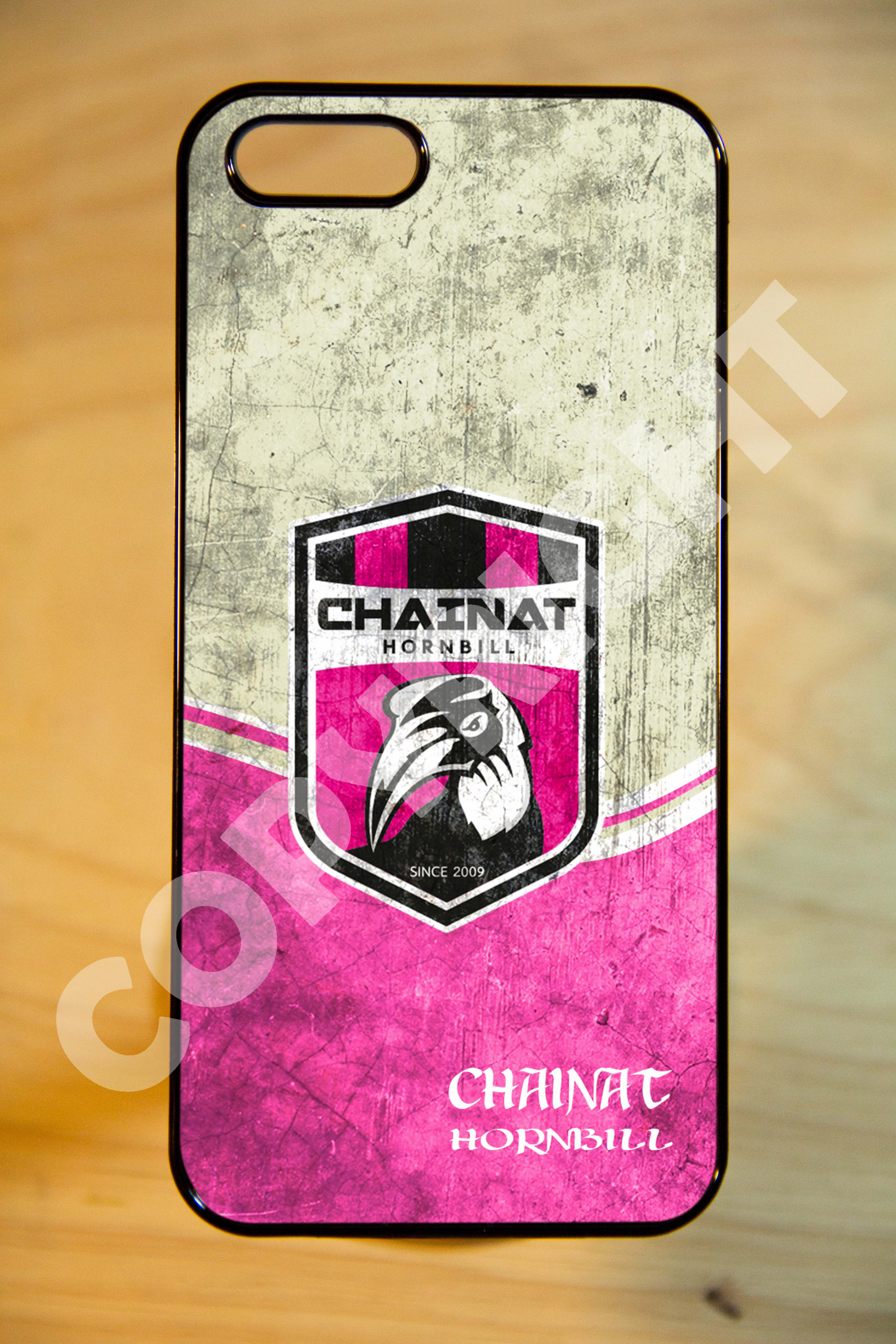 ทีม ชัยนาท FC