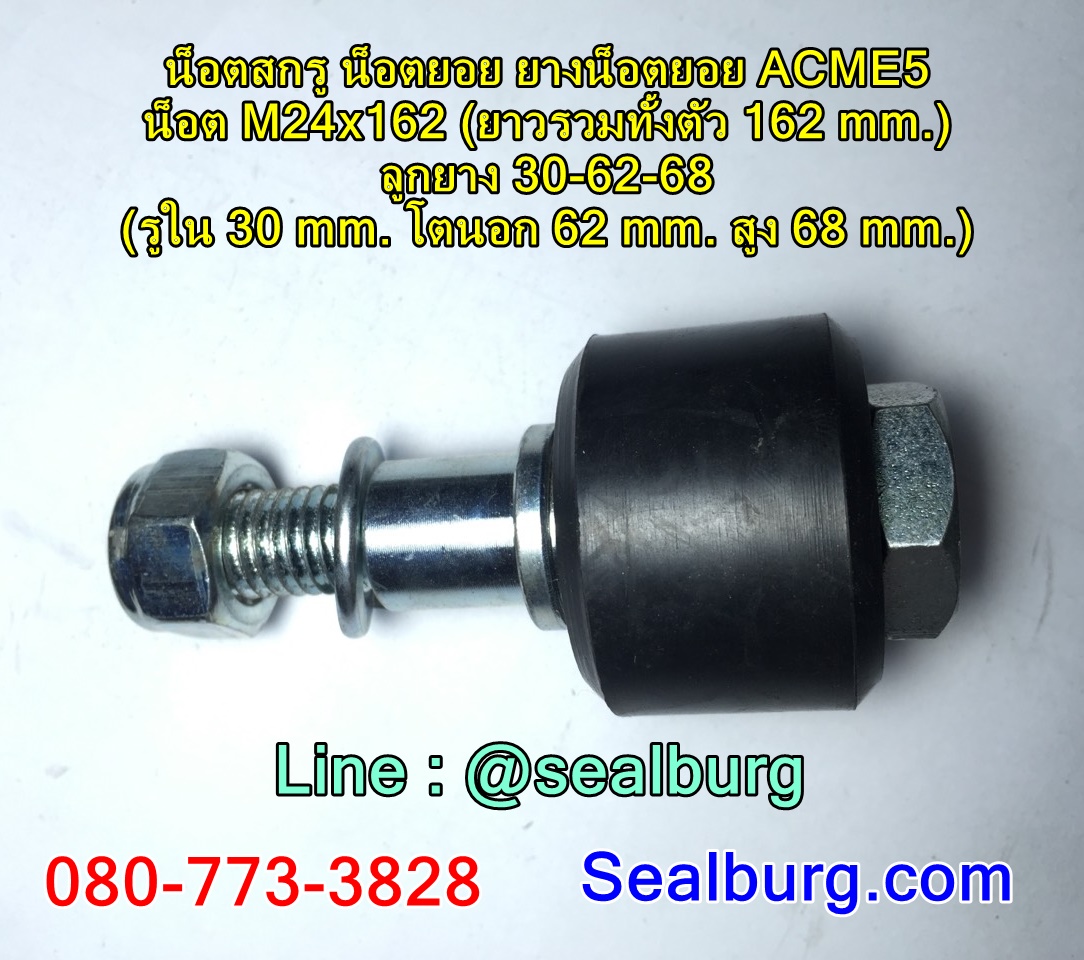 น็อตสกรู น็อตยอย ยางน็อตยอย ACME5 : M24x162 : 30-62-68